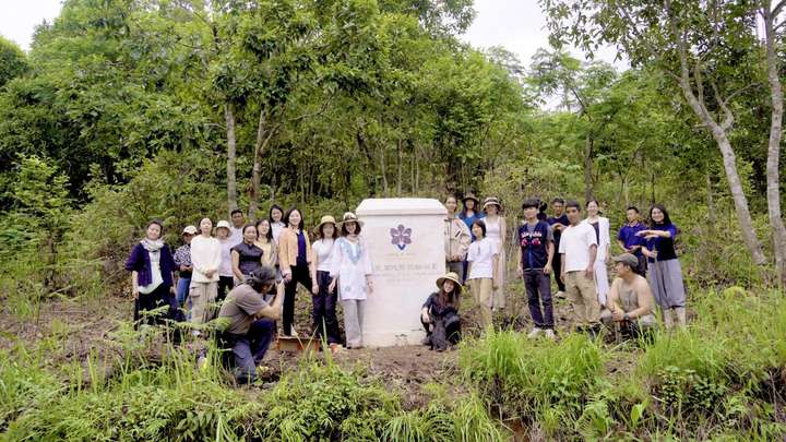 濒危物种大花万代兰回归原生境，百万植株共筑地球美丽家园