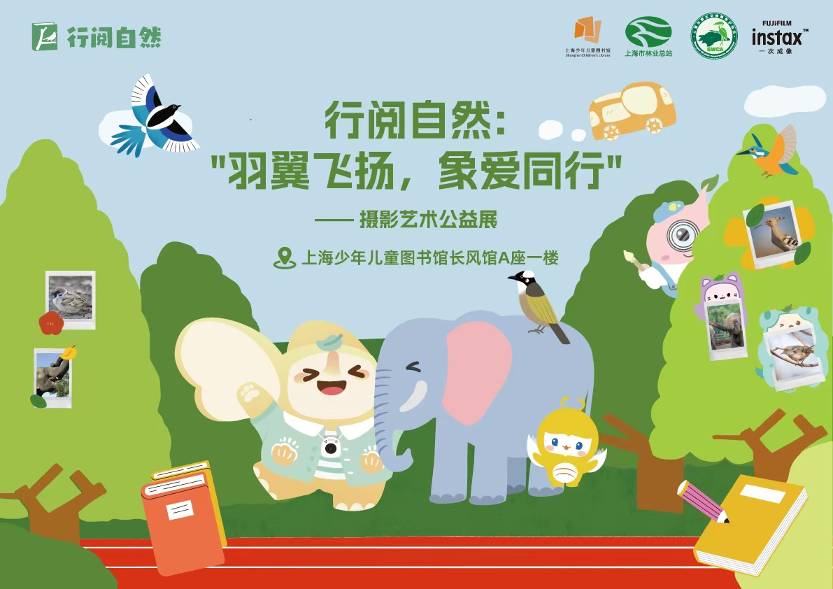 如图片无法显示，请耐心等待